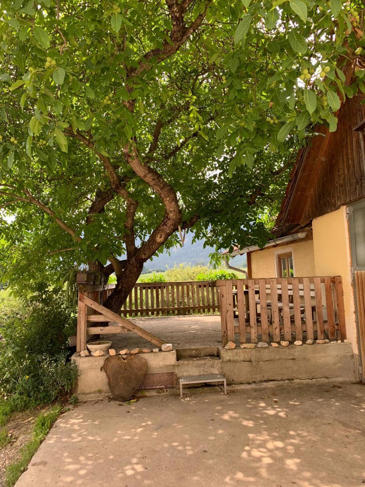 Neumarkt in Steiermark Biohof Goelly 빌라 외부 사진