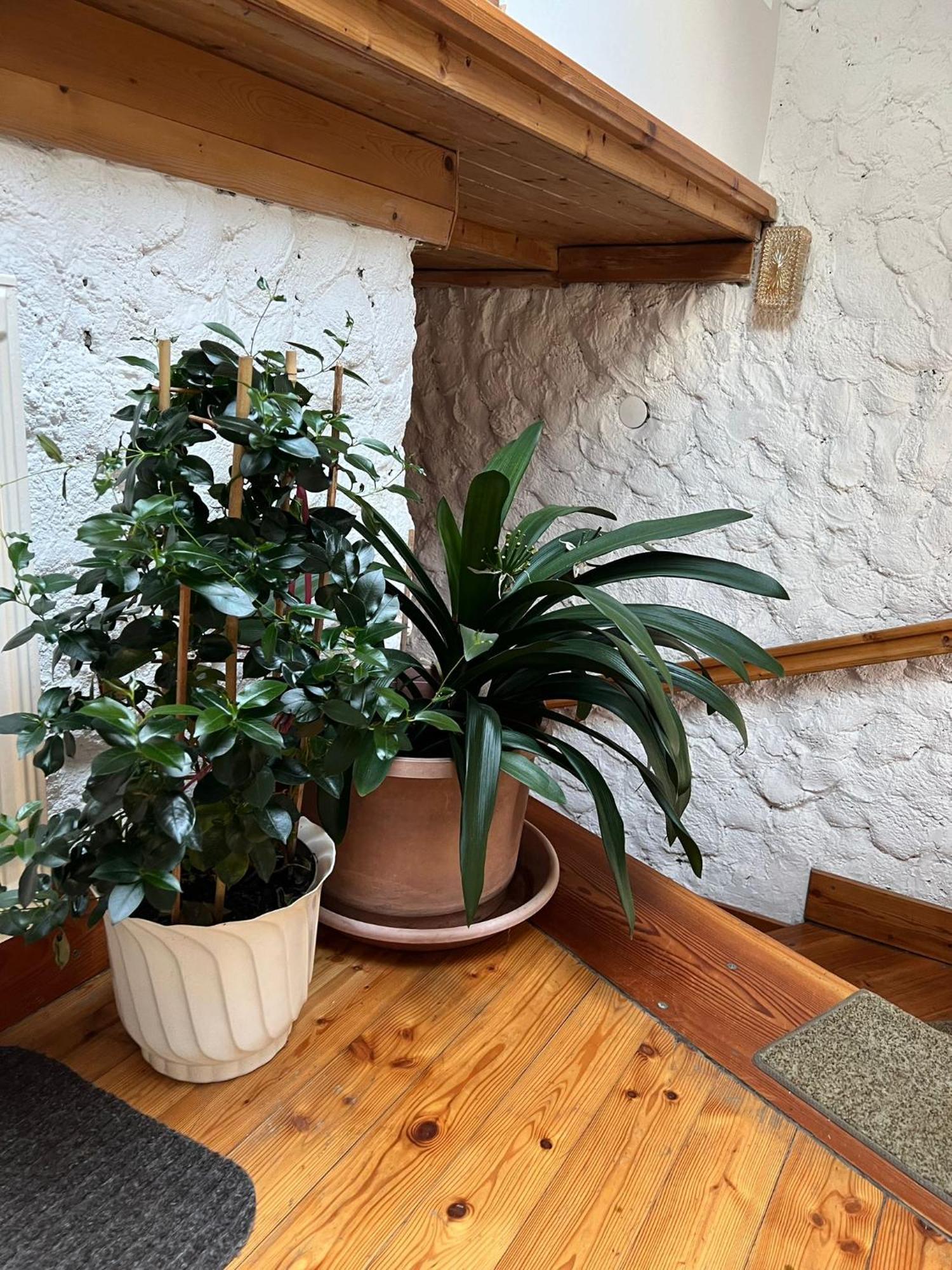 Neumarkt in Steiermark Biohof Goelly 빌라 외부 사진