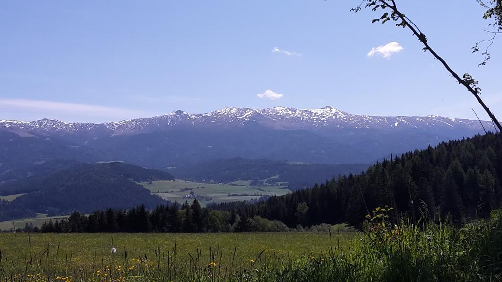 Neumarkt in Steiermark Biohof Goelly 빌라 외부 사진