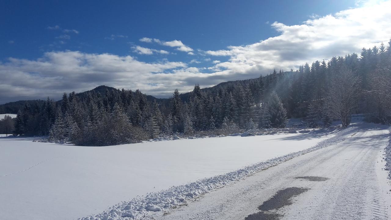 Neumarkt in Steiermark Biohof Goelly 빌라 외부 사진